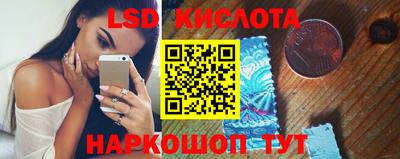 прущие грибы Сланцы
