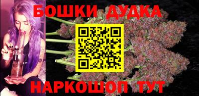 прущие грибы Сланцы