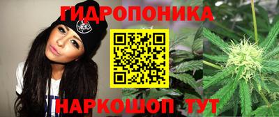 прущие грибы Сланцы
