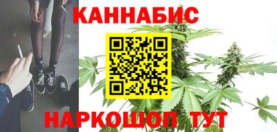 прущие грибы Сланцы