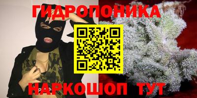 прущие грибы Сланцы