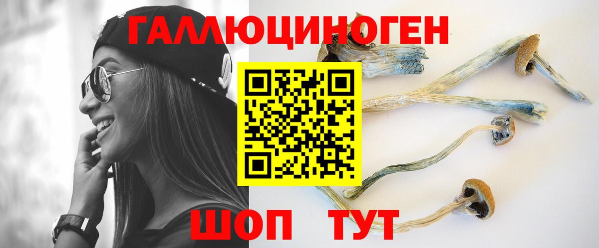 Новочеркасск  Псилоцибиновые грибы мухоморы  Вход с VPN 